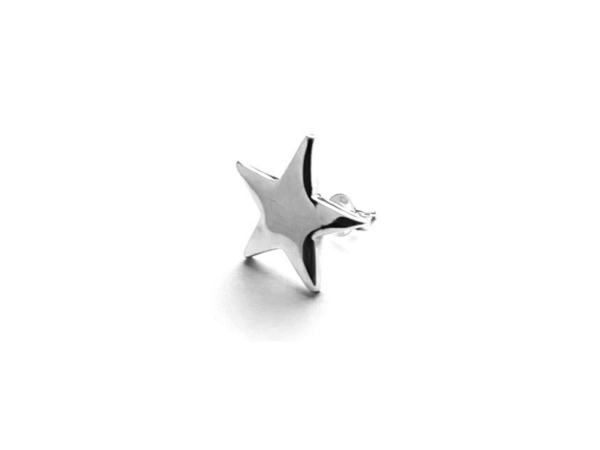 ZE029 Polished Star Stud