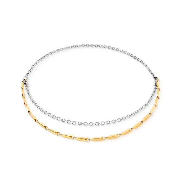 Coeur De Lion 2 Tone Necklace