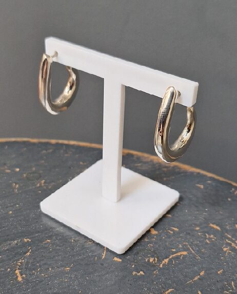 ZE0105 Polished Hook Hoops