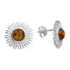 H7272B Amber Sunburst Stud Earrings